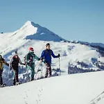 Alpbachtraum *
