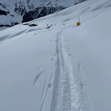 Alpbachtraum * Alpbach