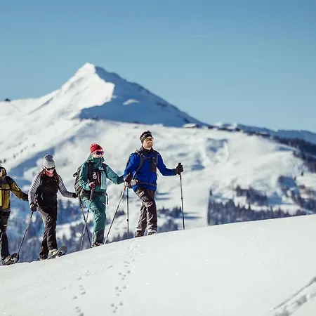 Alpbachtraum *
