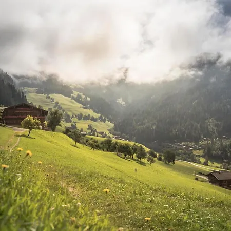 Alpbachtraum Apartment *