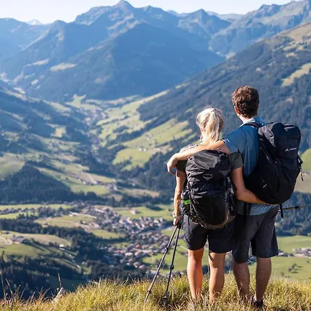 Alpbachtraum Daire *