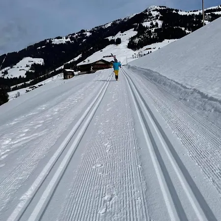 Daire Alpbachtraum Alpbach