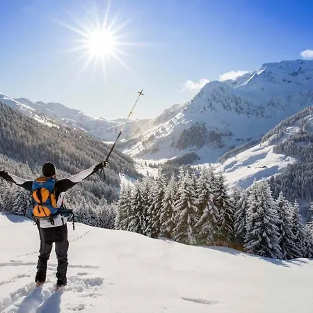 Alpbachtraum Daire Alpbach