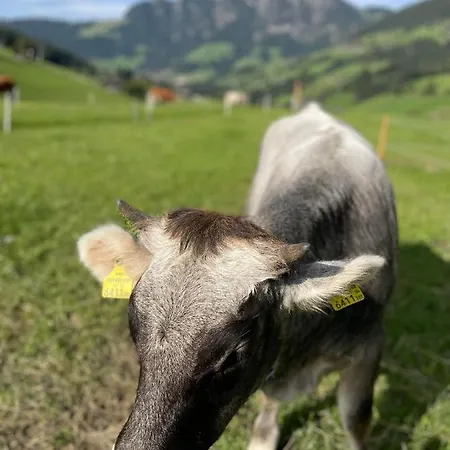 Alpbachtraum *