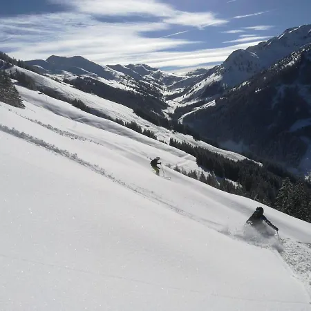 Apartament Alpbachtraum *