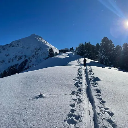 Alpbachtraum