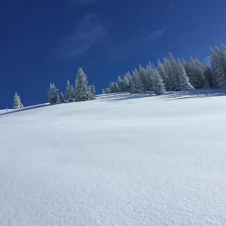 Alpbachtraum Apartamento *